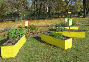 "Słoneczne rabaty" to skrzynie do prowadzenia hodowli roślin, ziół i warzyw ustawione w kształcie promieni słonecznych w ogrodzie przedszkolnym